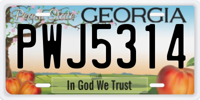 GA license plate PWJ5314