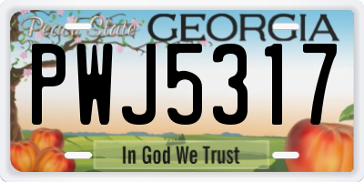 GA license plate PWJ5317