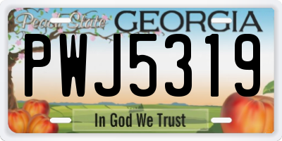 GA license plate PWJ5319