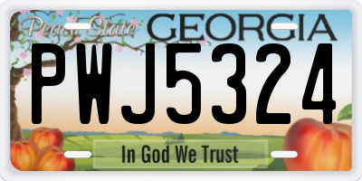 GA license plate PWJ5324
