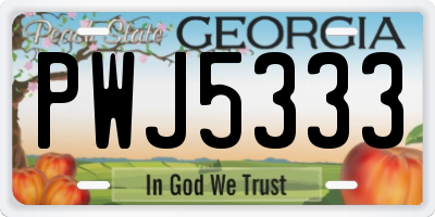 GA license plate PWJ5333