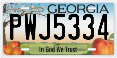 GA license plate PWJ5334