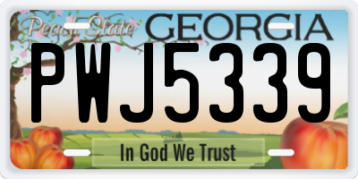 GA license plate PWJ5339