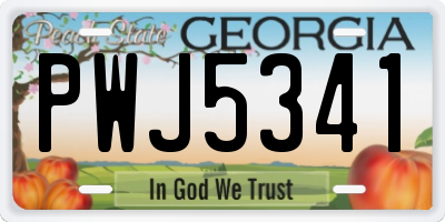 GA license plate PWJ5341