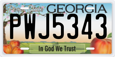 GA license plate PWJ5343