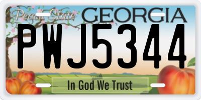 GA license plate PWJ5344