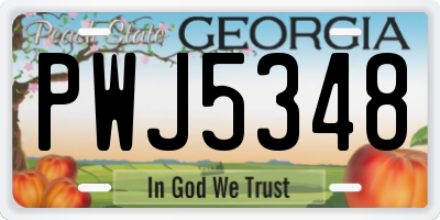 GA license plate PWJ5348