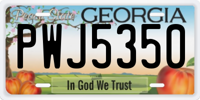 GA license plate PWJ5350