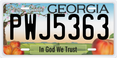 GA license plate PWJ5363