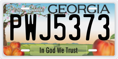 GA license plate PWJ5373
