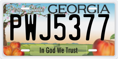 GA license plate PWJ5377