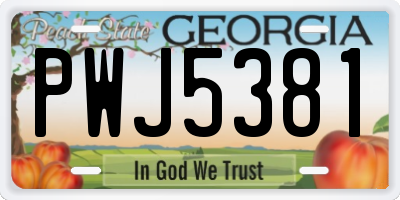 GA license plate PWJ5381