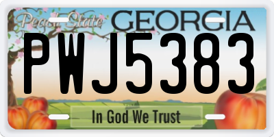 GA license plate PWJ5383