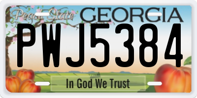 GA license plate PWJ5384