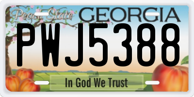 GA license plate PWJ5388