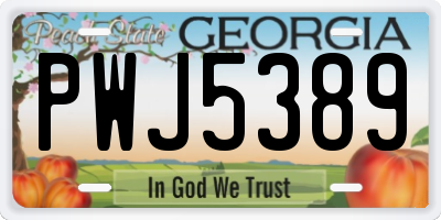GA license plate PWJ5389