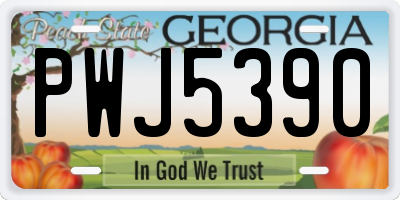GA license plate PWJ5390