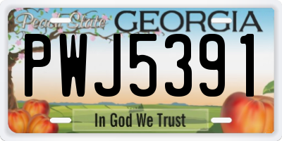 GA license plate PWJ5391