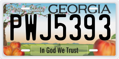 GA license plate PWJ5393