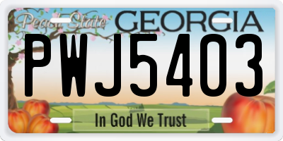 GA license plate PWJ5403