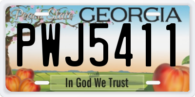 GA license plate PWJ5411