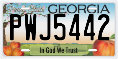GA license plate PWJ5442
