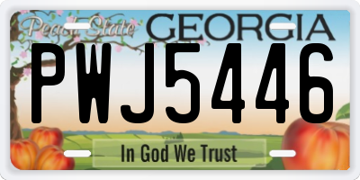 GA license plate PWJ5446