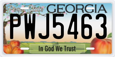 GA license plate PWJ5463