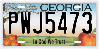 GA license plate PWJ5473