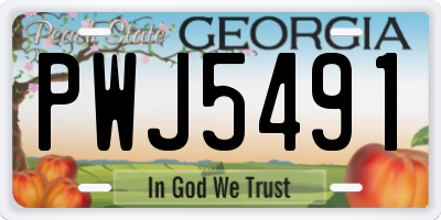 GA license plate PWJ5491
