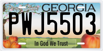 GA license plate PWJ5503