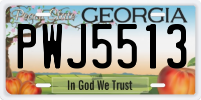 GA license plate PWJ5513