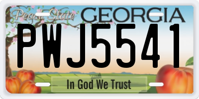 GA license plate PWJ5541