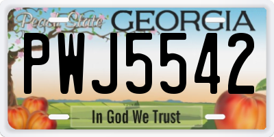 GA license plate PWJ5542