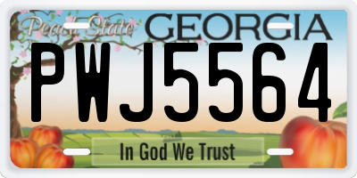 GA license plate PWJ5564
