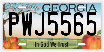 GA license plate PWJ5565