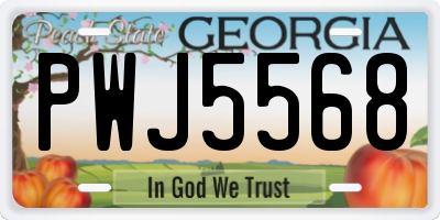 GA license plate PWJ5568