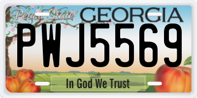 GA license plate PWJ5569