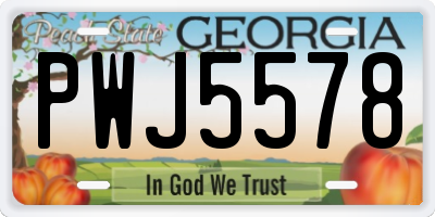 GA license plate PWJ5578