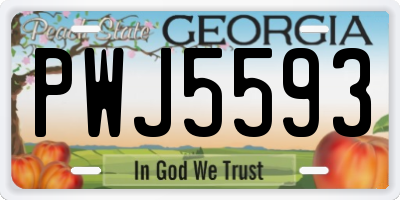 GA license plate PWJ5593