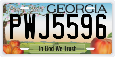 GA license plate PWJ5596