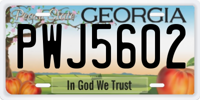 GA license plate PWJ5602