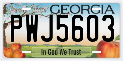 GA license plate PWJ5603