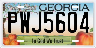 GA license plate PWJ5604