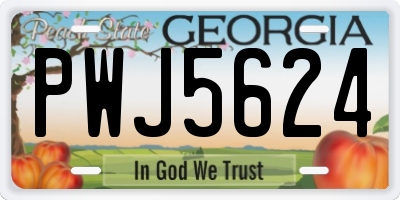 GA license plate PWJ5624