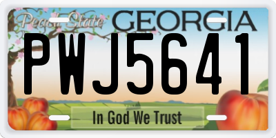 GA license plate PWJ5641