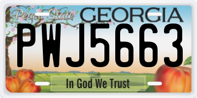 GA license plate PWJ5663