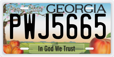 GA license plate PWJ5665