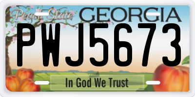 GA license plate PWJ5673