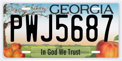 GA license plate PWJ5687